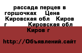 рассада перцев в горшочках. › Цена ­ 12 - Кировская обл., Киров г.  »    . Кировская обл.,Киров г.